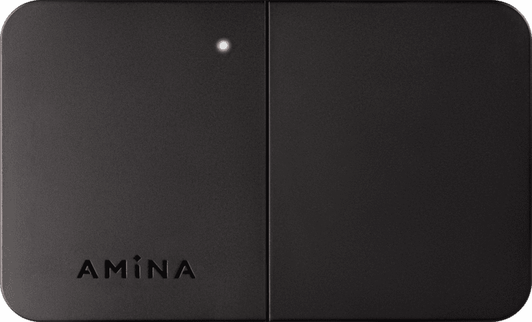 Utvalgt bilde for Amina